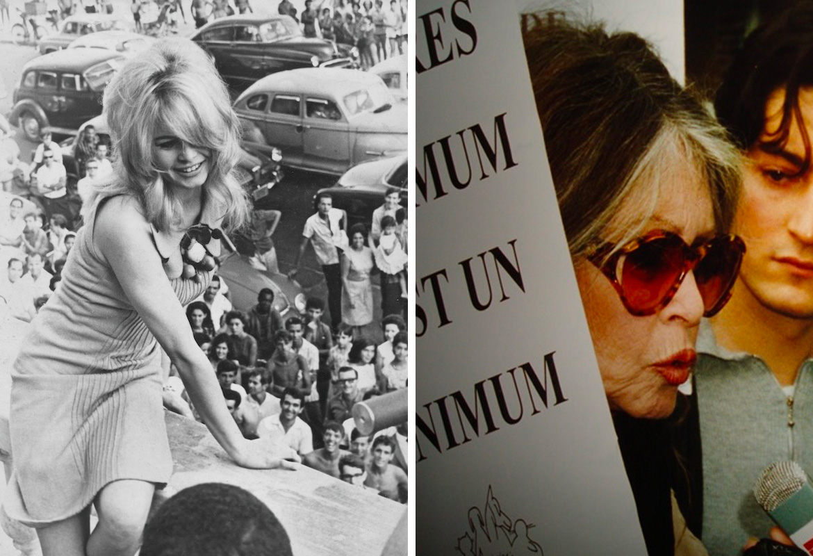 Brigitte Bardot : Le Dernier Adieu à l’Icône