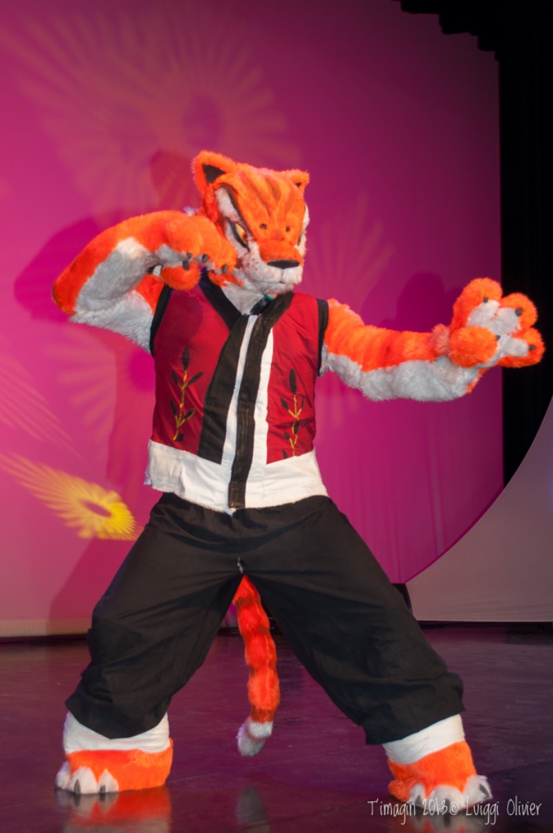 Convention T'Imagin 2013 - Cosplay - Toulon